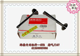 濰柴發(fā)動(dòng)機(jī)核心配件 氣門與部件、起動(dòng)機(jī)及配件產(chǎn)品全覽
